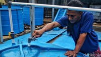 Saat ini sudah tersambung ke 6 titik dapur rumah tangga dan jumlahnya direncanakan terus bertambah ke warga sekitar.