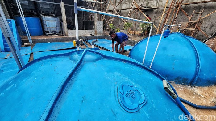 Burhani (42) menunjukkan fasilitas biogas yang mengubah limbah ternak sapi menjadi gas untuk memasak rumah tangga, di Cikoko, Pancoran, Jakarta Selatan, Kamis (7/12/2023).