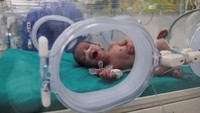 Sejumlah bayi prematur warga Gaza menjalani perawatan di RS New Administrative Capital (NAC) di Kairo, Mesir, 6 Desember 2023.