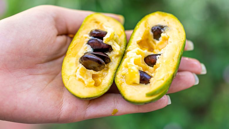 pawpaw
