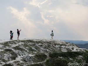 Sumba yang Pernah Jadi Tempat Tinggal Tikus Raksasa