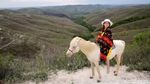 Pesona Bukit Warinding Sumba