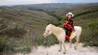 Namun bagi traveler yang lebih menyukai savana Bukit Warinding berwarna hijau segar dan menyejukan mata, traveler bisa datang setelah musim penghujan atau saat semua rerumputan tumbuh kembali yakni antara bulan Februari - April.  