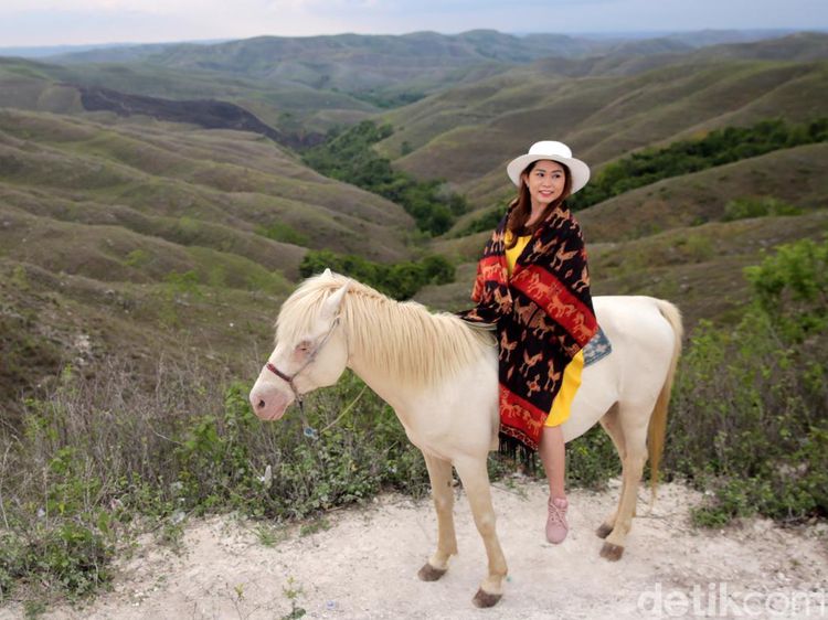 Pesona Bukit Warinding Sumba