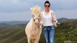 Pesona Bukit Warinding Sumba