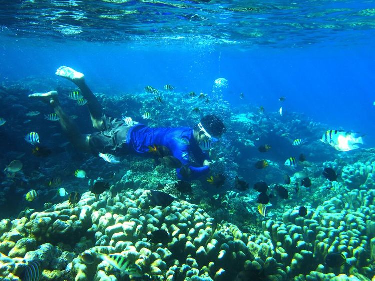Pesona Taman Laut Olele, Surga Tersembunyi di Gorontalo