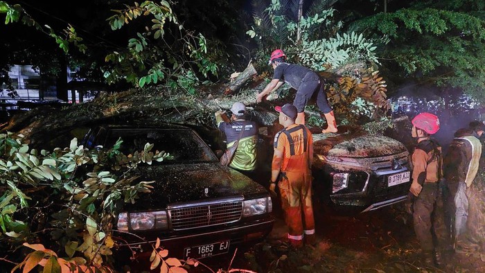 Pohon Bungur Tumbang Timpa 3 Mobil di Bogor (Muchamad Sholihin-detikcom)