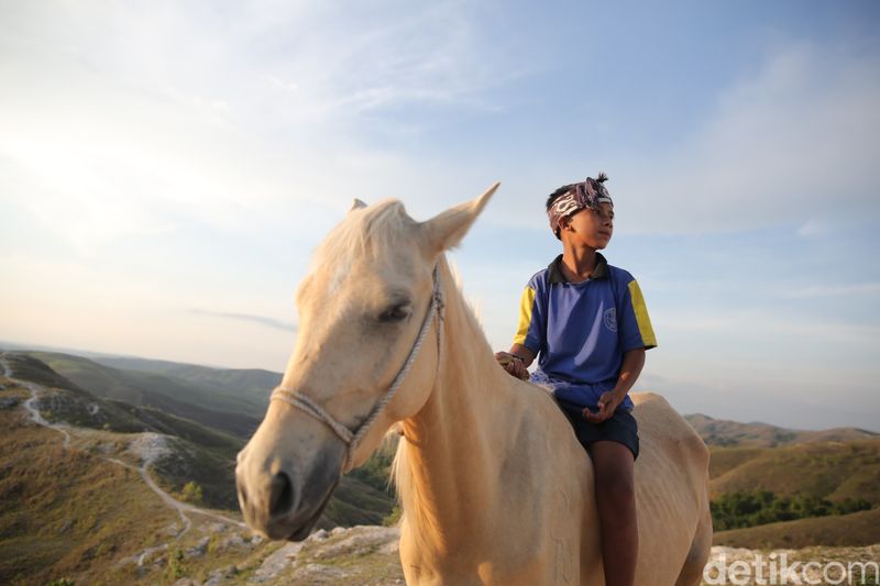 Potret Penunggang Kuda di Bukit Warinding