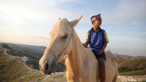 Potret Penunggang Kuda di Bukit Warinding