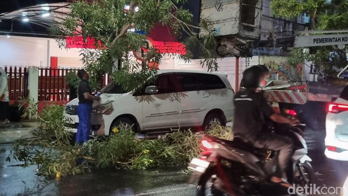 Sejumlah pohon tumbang di Surabaya