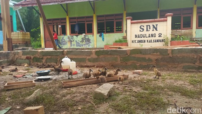 Sekolah Dasar Negeri 2 Madulang Sampang yang kepala sekolahnya dilaporkan gegara cabul pada guru hingga wali murid