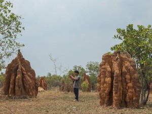Sejarah Taman Wisata 1.000 Musamus, Dulunya Cuma Lahan Tidur