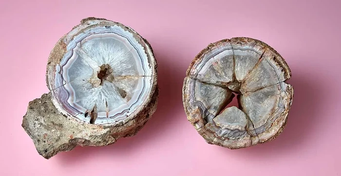Telur dinosarusu dikira batu akik