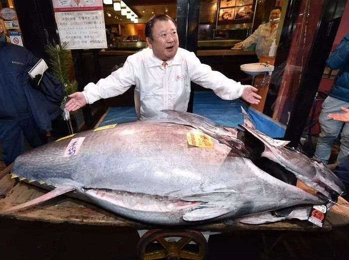 5 Seafood Ukuran Jumbo Ini Ada yang Beratnya Mencapai 453 Kg!