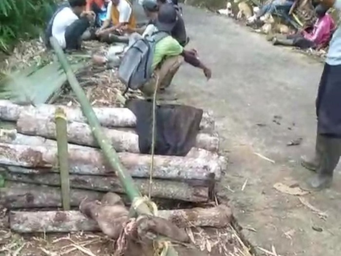 Babi hutan yang sempat meneror warga Desa Sindangsari, Kecamatan Kawali, Kabupaten Ciamis, berhasil ditangkap para pemburu.