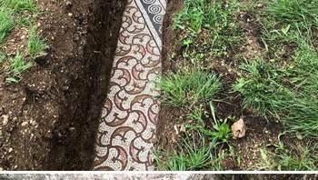 Mosaik Vila Romawi Ditemukan di Bawah Kebun Anggur di Negrar, Italia Foto: Demilked