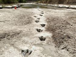 Deretan Artefak Sejarah yang Selamat dari Kerusakan Waktu Bikin Takjub