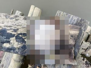 Kisah Pilu Keluarga MLA Terpaksa Buang Potongan Payudara ke Rawa Surabaya