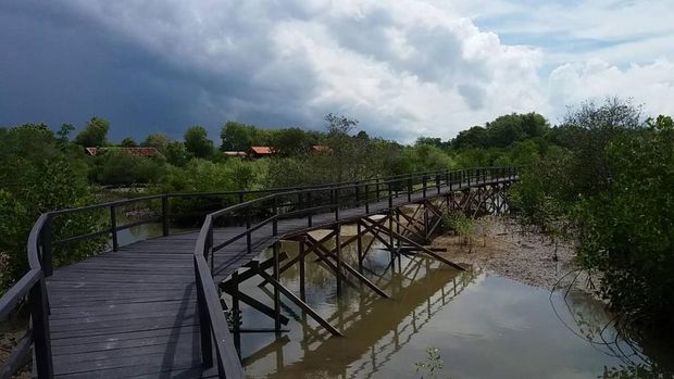Labuhan Mangrove Edu Park.
