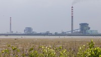 PLTU Cirebon-1 berkapasitas 660 Mega Watt (MW). PLTU sendiri setidaknya mempekerjakan sebanyak 200 orang.  