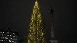 Pohon Natal 25 Meter Pemberian Norwegia untuk Inggris Mulai Menyala