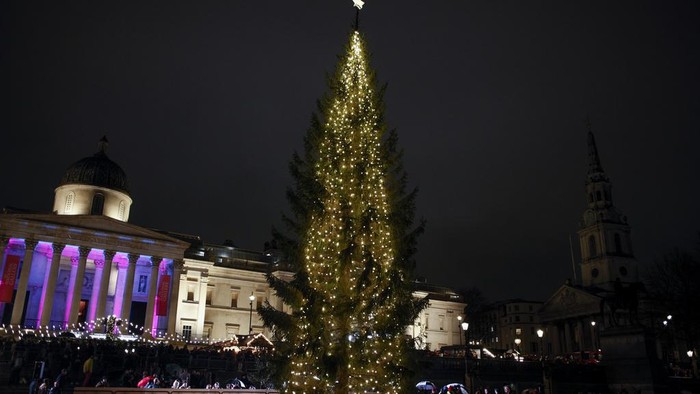 A view of the Trafalgar Square Christmas tree following its annual lighting ceremony in London, Thursday, Dec. 7, 2023. The 25-metre-high tree from the people of Norway is a gift of thanks for Britain's support to Norway during World War II. (AP Photo/David Cliff)