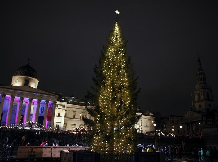 Pohon Natal 25 Meter Pemberian Norwegia untuk Inggris Mulai Menyala