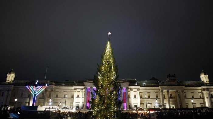 A view of the Trafalgar Square Christmas tree following its annual lighting ceremony in London, Thursday, Dec. 7, 2023. The 25-metre-high tree from the people of Norway is a gift of thanks for Britain's support to Norway during World War II. (AP Photo/David Cliff)