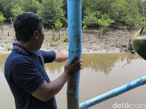 Penyelidikan Potongan Payudara di Rawa Surabaya Mengarah ke Wanita Asal NTT