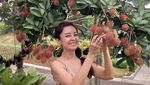 Putri Patricia Hobi Kulineran dan Masak Pakai Daster