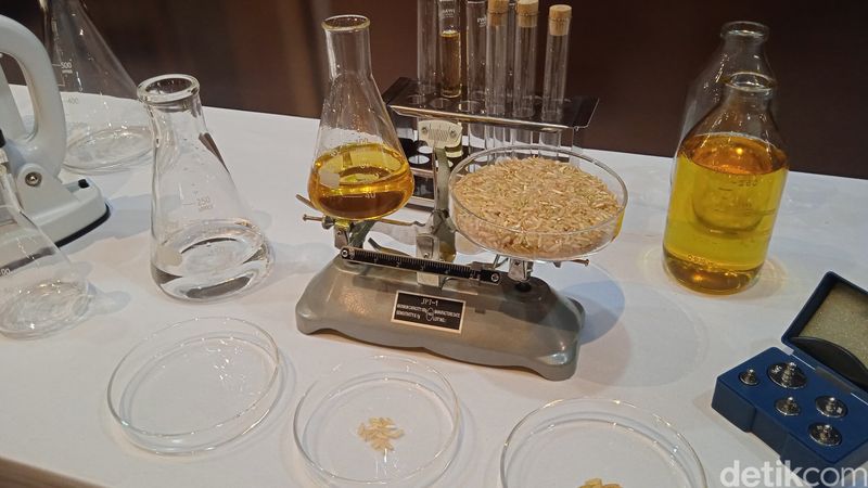 Mengandung Gamma Oryzanol, Benarkah Rice Bran Oil Lebih Sehat?