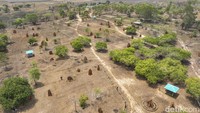 Banyaknya rumah rayap tersebut mampu mengundang pengunjung, bahkan pelancong yang mendarat di bumi Papua Selatan pasti menyempatkan untuk mendatangi taman 1000 musamus yang ikonik ini. Tiket yang dipatok untuk para pelancong yaitu 10 ribu rupiah.  
