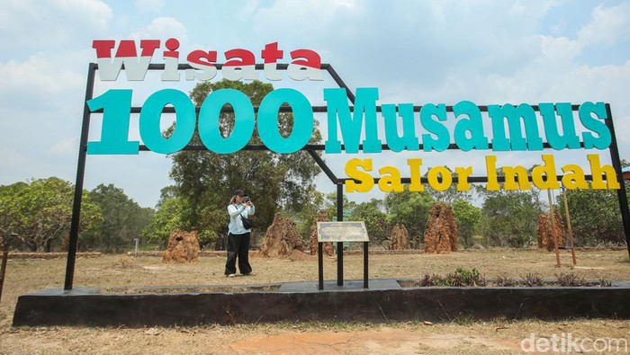 Pengunjung berfoto di Taman 1000 Musamus, Merauke, Papua Selatan, Kamis (16/11/2023).