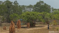 Potensi wisata membuat BRI turut membantu para UMKM yang membuka lapak di lokasi ini  