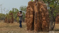 Selain itu Kampung Salor Indah merupakan salah satu Desa BRILian yang dibina oleh BRI. Desa BRILian dibentuk untuk meningkatkan kapabilitas desa agar mendorong kemajuan desa. Melalui Desa BRILian, desa yang ikut serta diharapkan dapat mengoptimalkan seluruh potensi yang ada.  