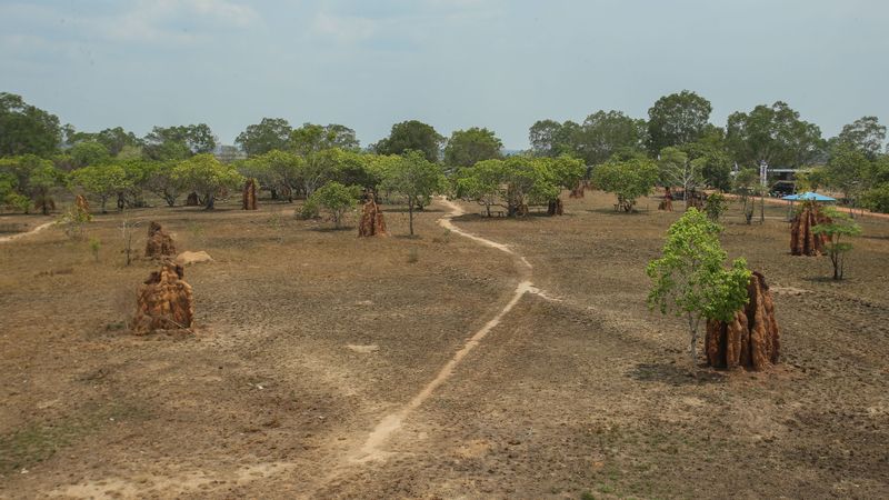 Taman Wisata 1.000 Musamus