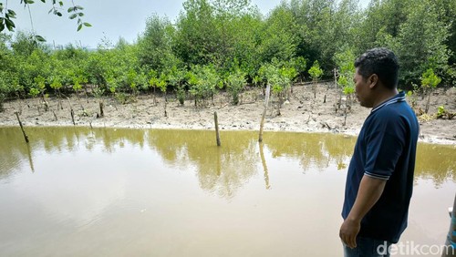 Temuan potongan payudara di rawa-rawa Surabaya