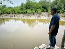 Misteri Potongan Payudara di Rawa-rawa Surabaya Terkuak!