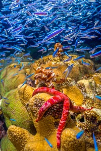 The Royal Society Publishing Photography Competition 2023