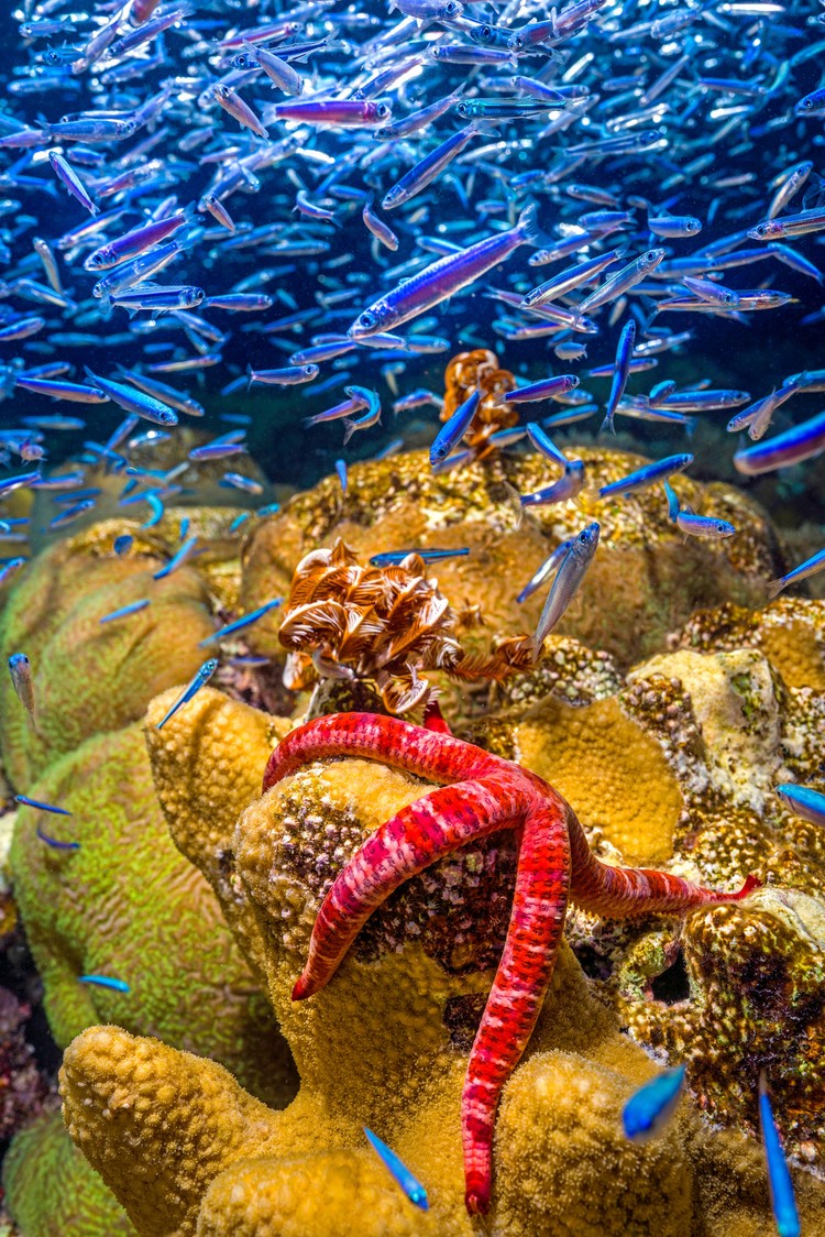 The Royal Society Publishing Photography Competition 2023