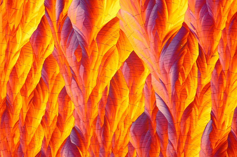 The Royal Society Publishing Photography Competition 2023