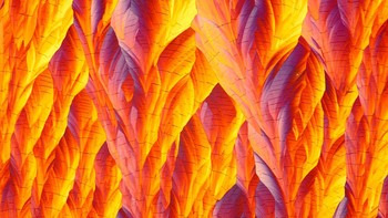 Runner-up pencitraan mikro diraih Shyam Ulhas Rathod. Gambar menunjukkan mikro dari dua kombinasi kimia Beta Alanine dan L Glutamine yang menunjukkan evolusi pola kristal dalam proses kristalisasi bahan kimia. Teknik yang digunakan disini adalah polarisasi, peralatan yang digunakan adalah, Mikroskop MX21iLED oleh Magnus Opto dan Kamera yang digunakan untuk Pencitraan adalah Sony a 6600 dipasang pada kepala trinokular dengan coupler cetak 3d). Gambar tersebut tidak hanya menunjukkan keindahan pada tingkat mikroskopis tetapi juga memiliki potensi besar untuk penelitian di bidang kristalisasi untuk memahami mengapa bahan kimia tertentu memiliki pola yang berbeda dan mengapa bentuk seperti itu berkembang adalah hal yang sangat penting. belajar dan mungkin membuka jendela baru bagi sains. Foto: The Royal Society Publishing