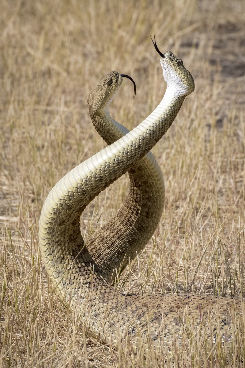 The Royal Society Publishing Photography Competition 2023