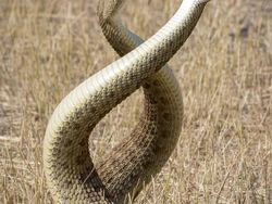 Karya Jawara Kontes Foto Scientific yang Bikin Tercengang