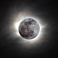 The Royal Society Publishing Photography Competition 2023