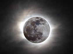 Karya Jawara Kontes Foto Scientific yang Bikin Tercengang