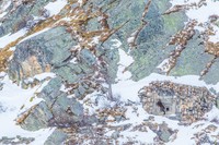 The Royal Society Publishing Photography Competition 2023