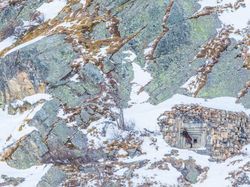 Karya Jawara Kontes Foto Scientific yang Bikin Tercengang