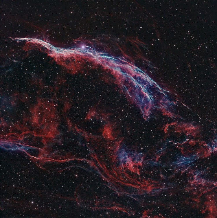 The Royal Society Publishing Photography Competition 2023