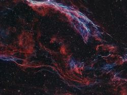 Karya Jawara Kontes Foto Scientific yang Bikin Tercengang